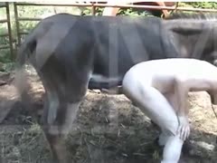 In this amazing brute fetish film, a mule drills a cock-addicted skinny man's anal.